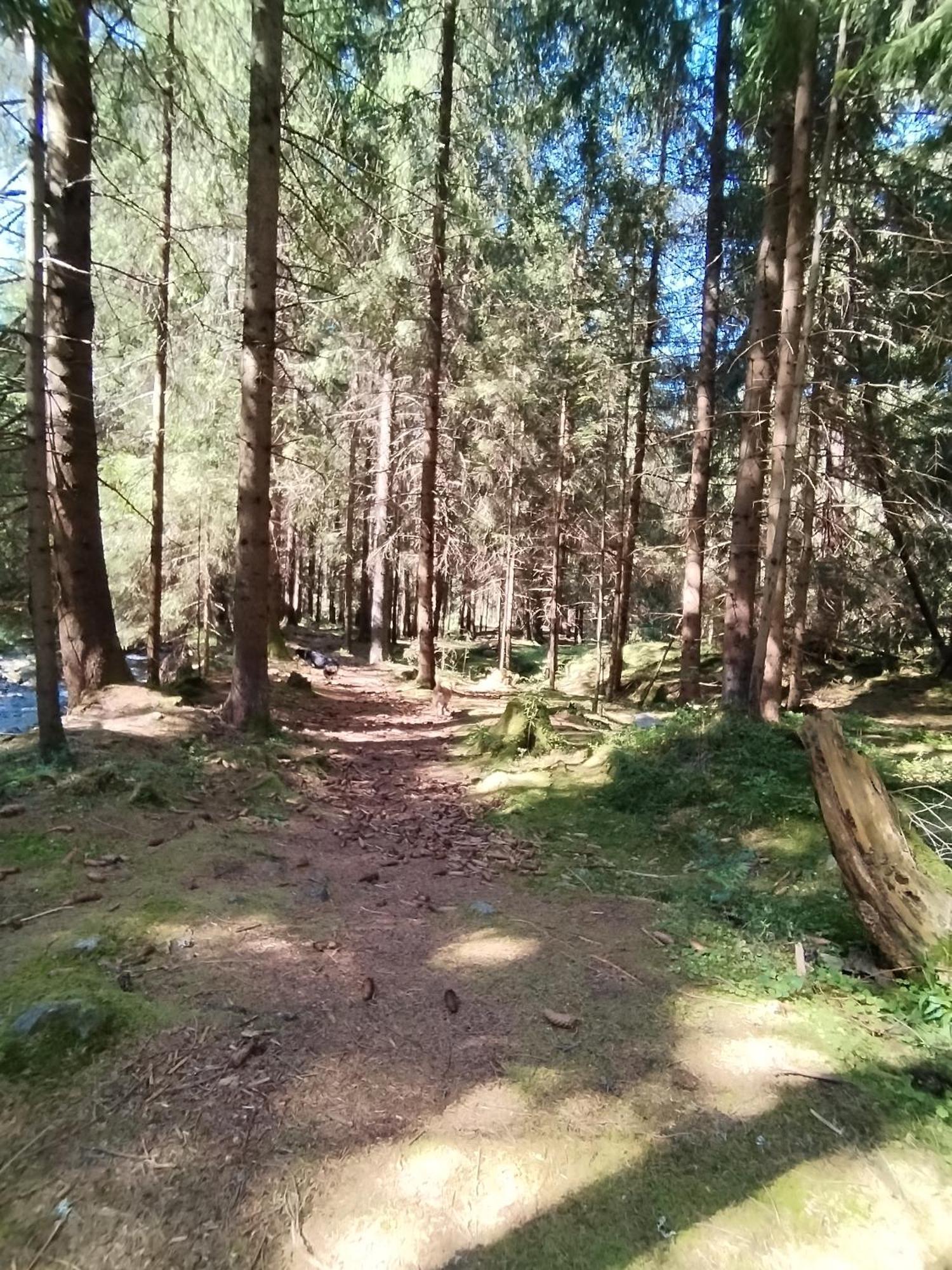 Penzion Real Ziar Bagian luar foto