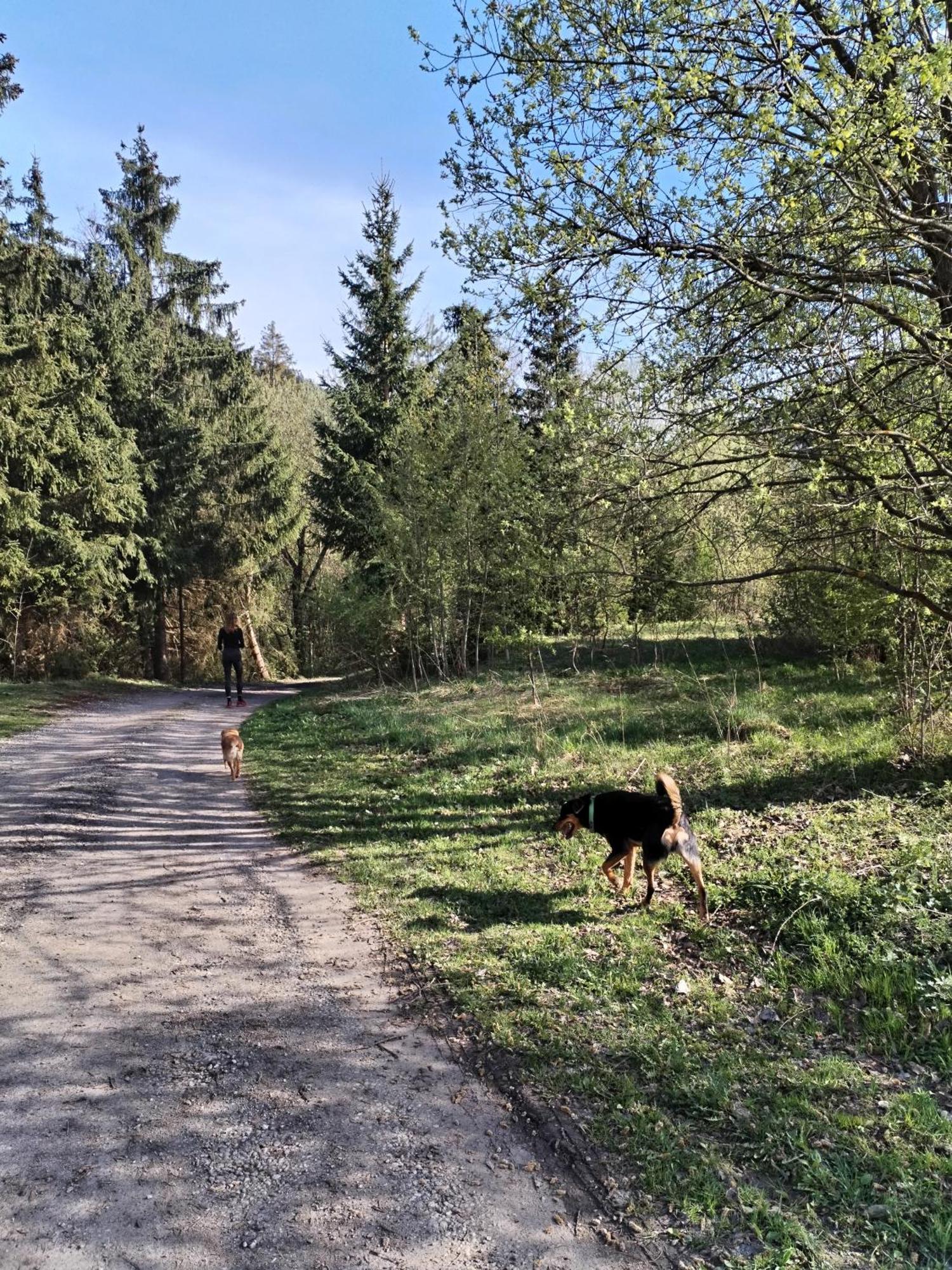 Penzion Real Ziar Bagian luar foto