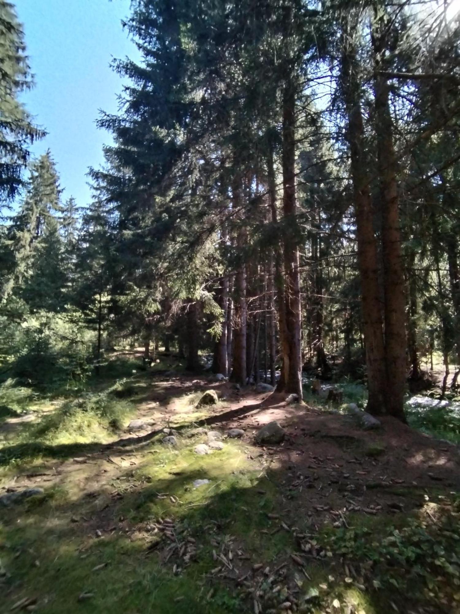 Penzion Real Ziar Bagian luar foto