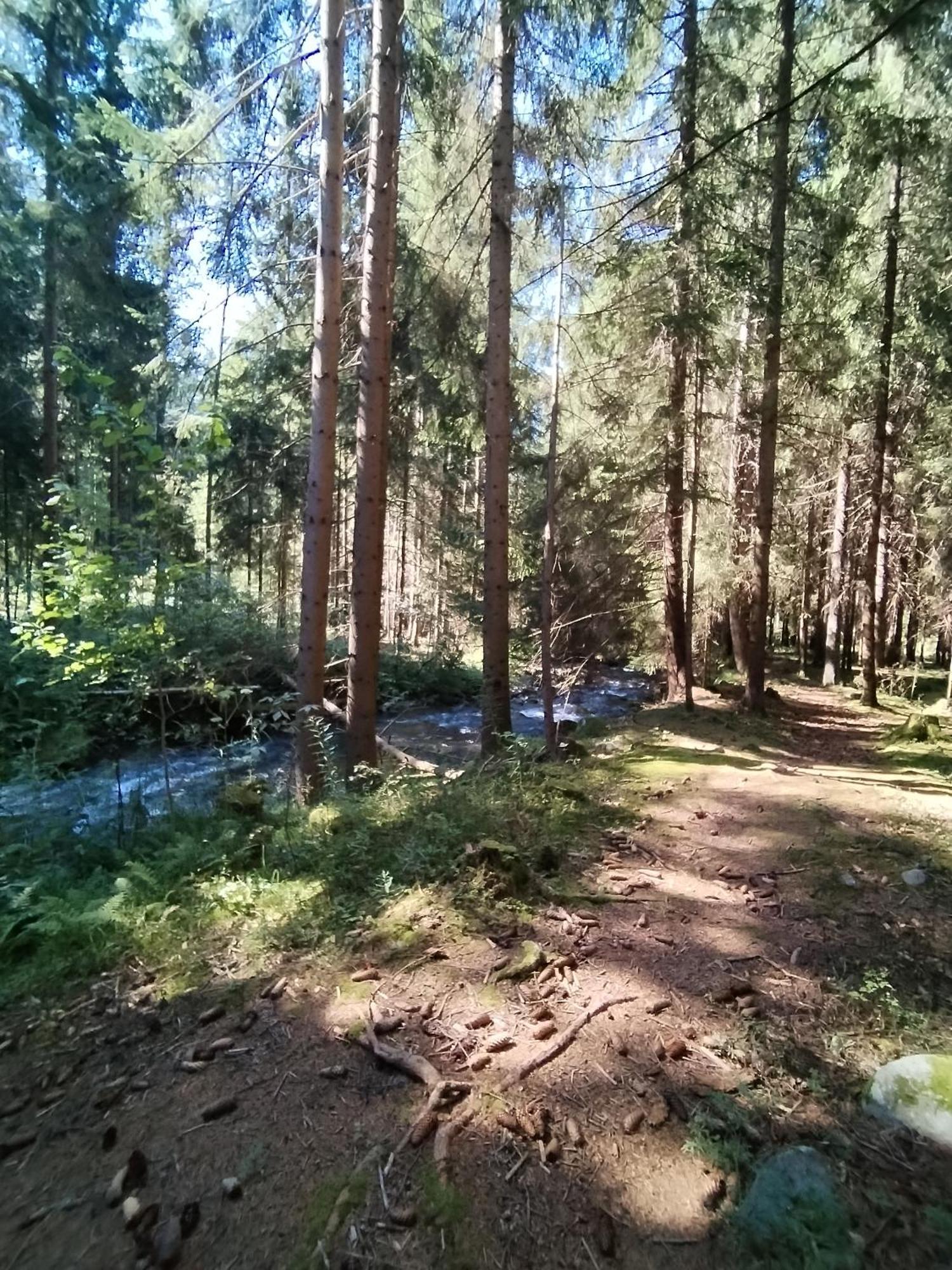 Penzion Real Ziar Bagian luar foto